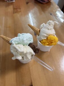 鹿児島県奄美市／ジェラート「ジェラテリア アンティカ 奄美店」